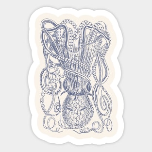 Vintage Octopus Sticker